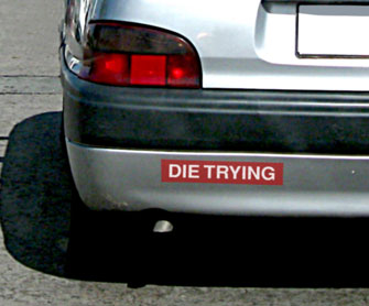 Die Trying Bumper Sticker